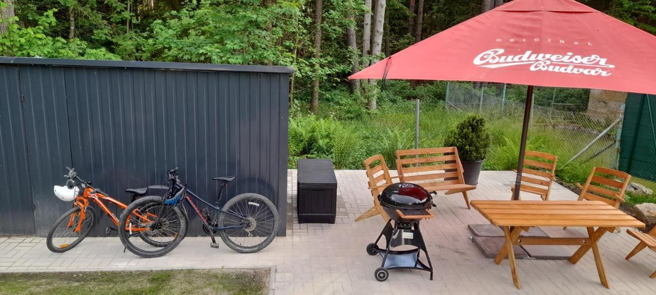 Apartmany Aktiv Lipno Lipno nad Vltavou Exteriör bild